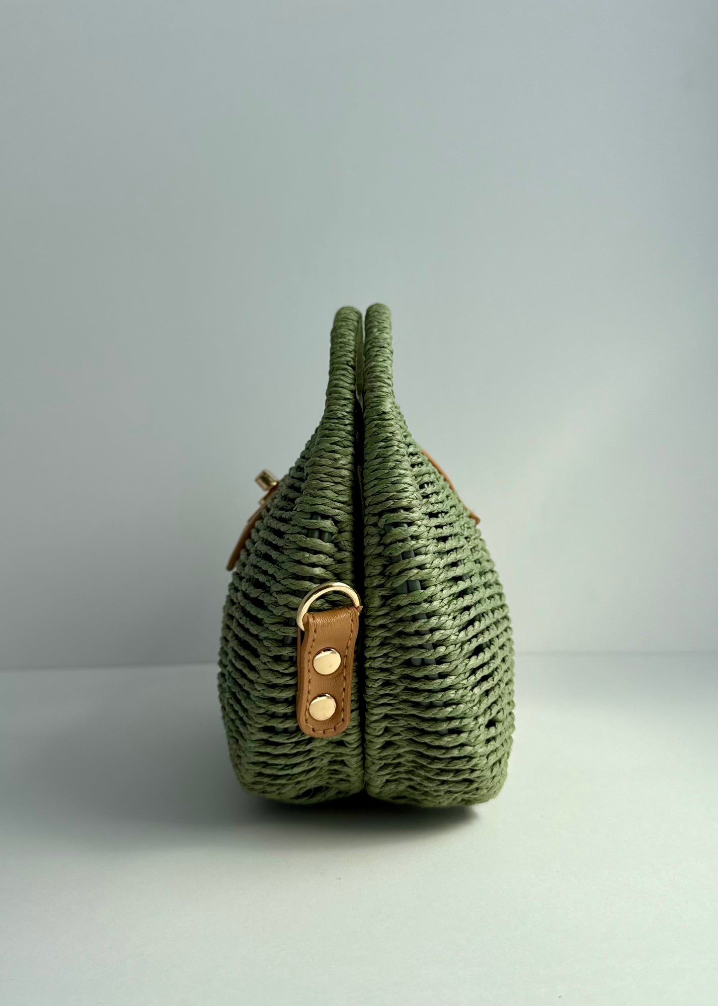 Lisa Straw Dumpling Bag